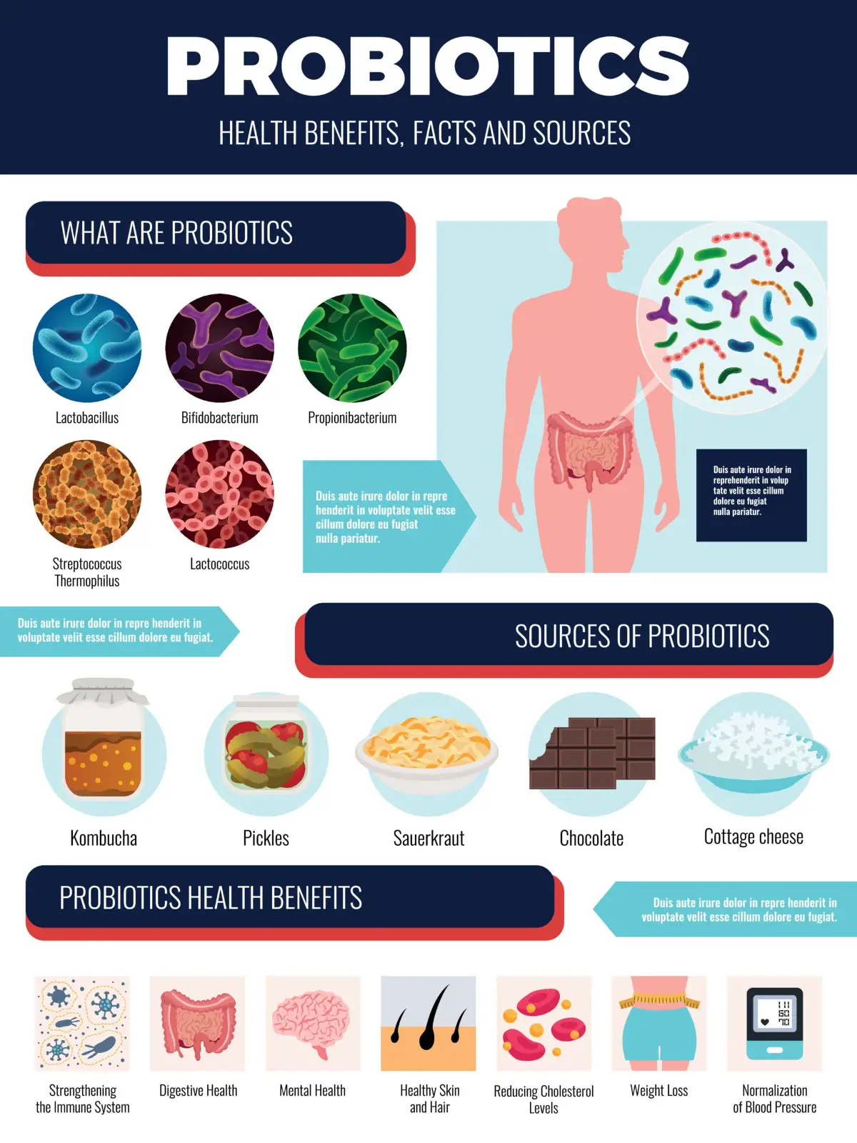 8 Health Benefits of Probiotics