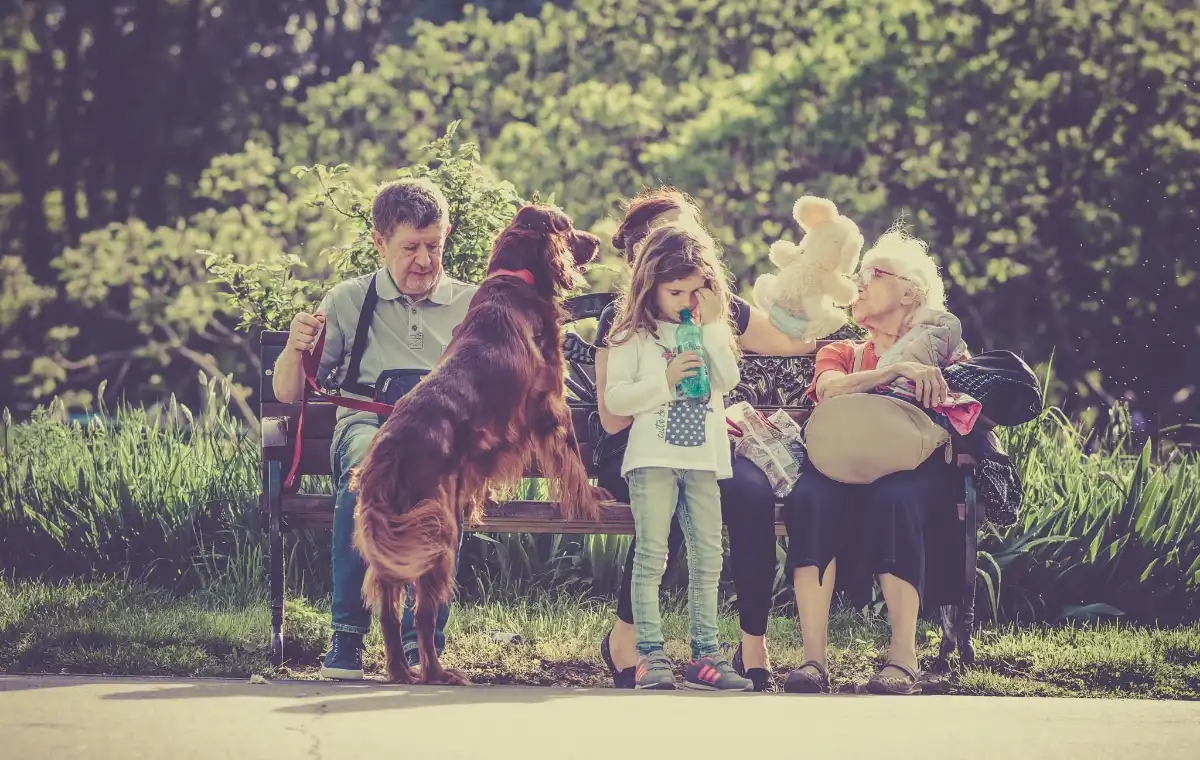 Who should I include in my household to determine subsidy?