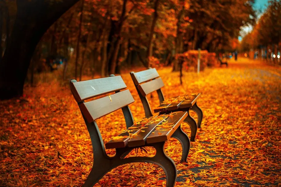 What’s the difference between IHC short-term plans?