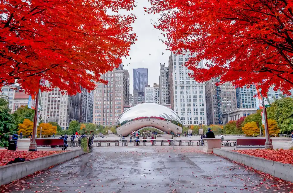 Ambetter Illinois 2023 Guide